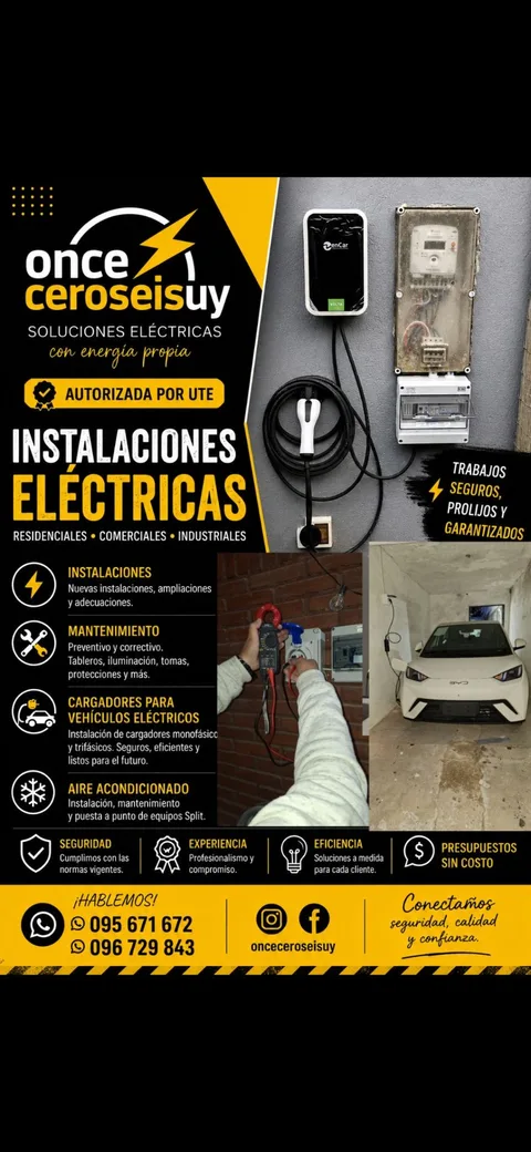Trabajo profesional