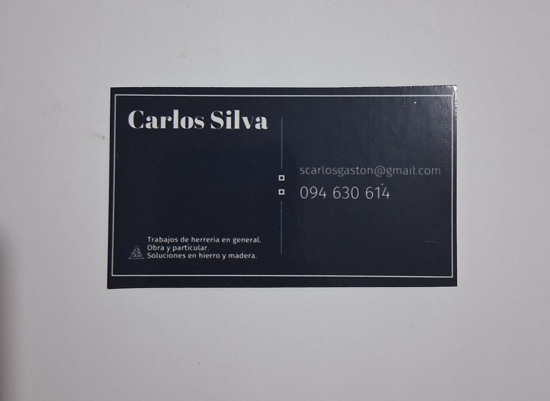 Carlos Silva